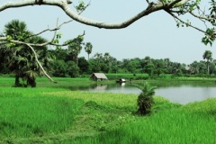 around-belun-village