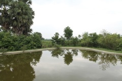 fish-pond
